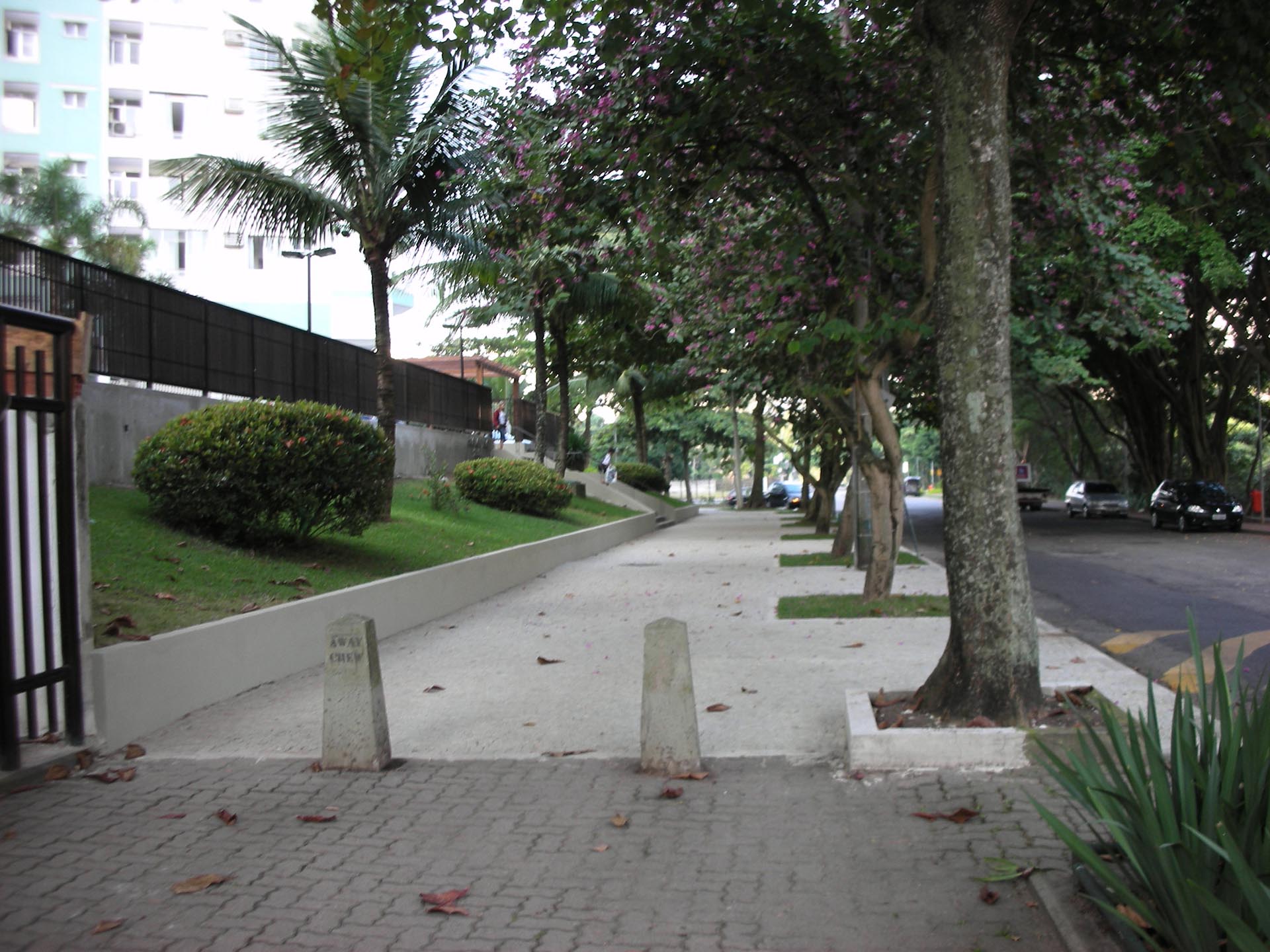 DSCN8337.JPG